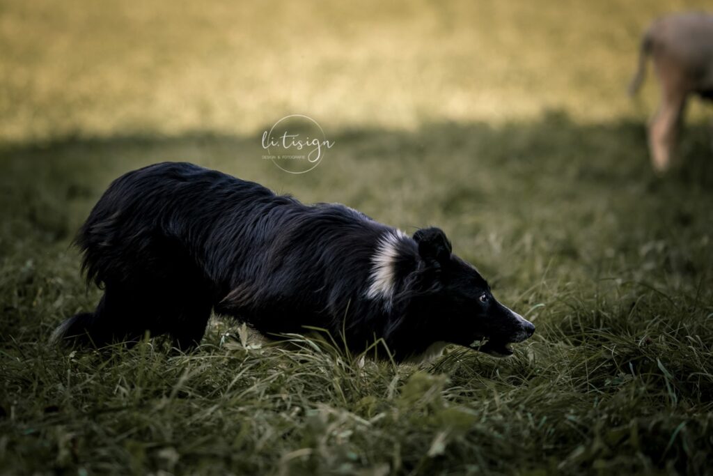 WhatsApp Bild 2025-02-19 um 11.15.47_000d1bd6