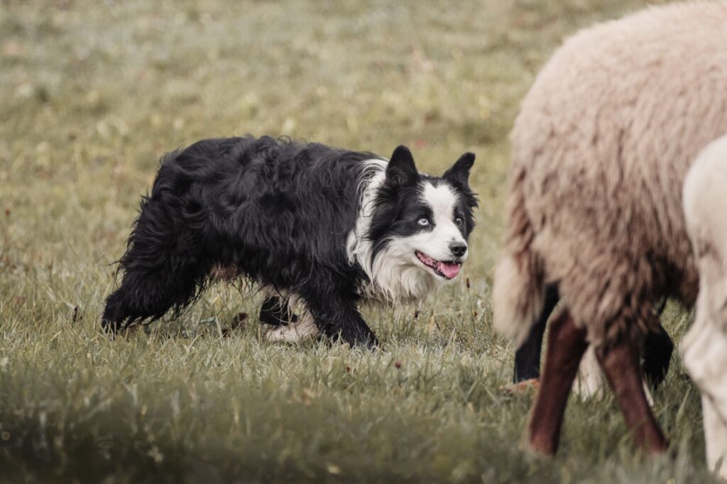 WhatsApp Bild 2025-02-19 um 11.15.48_9952bd48