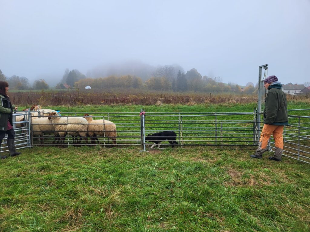 464864797_8485762401521802_2394992232266956596_n