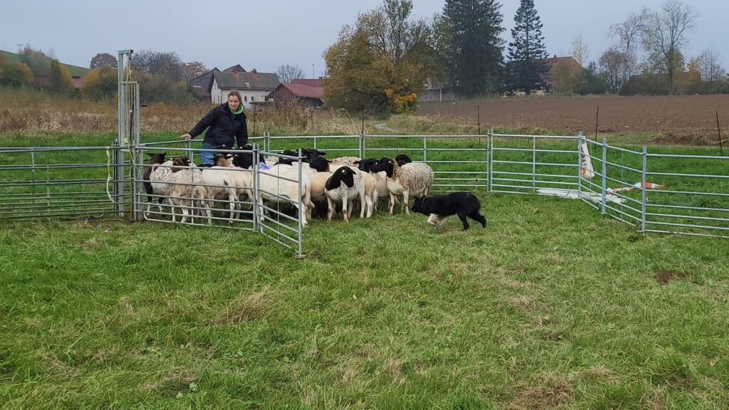 465050575_8485763984854977_3679057616649497072_n