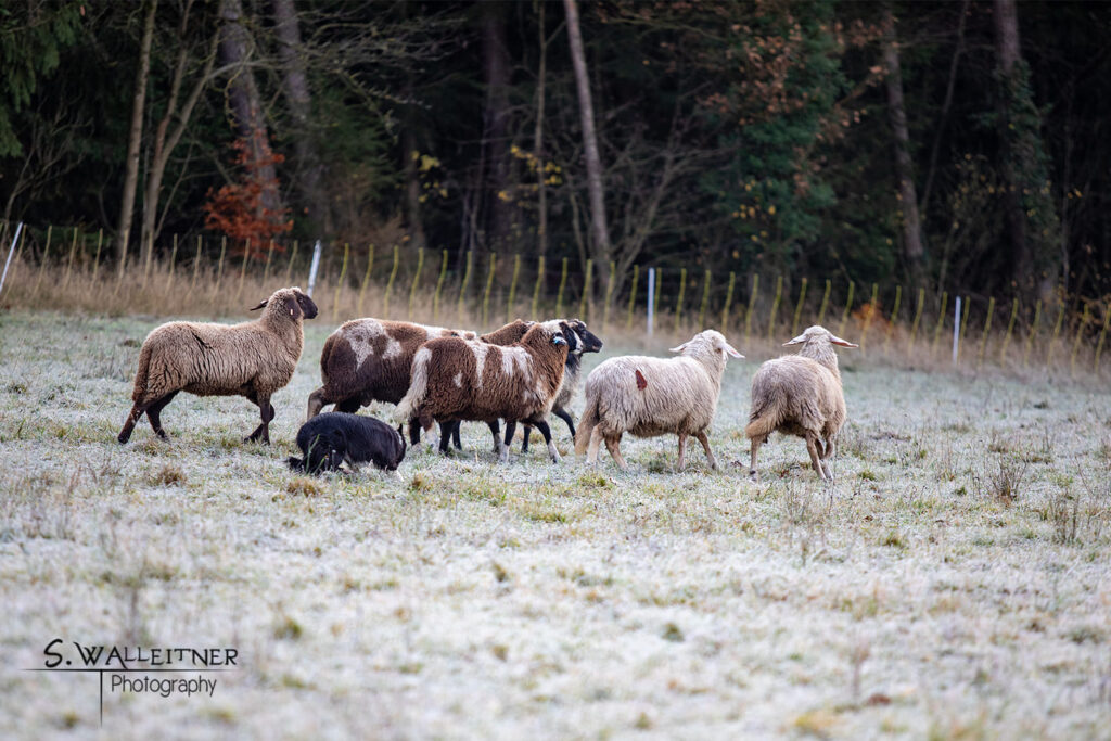 480670018_658167270116734_8540445411203135359_n