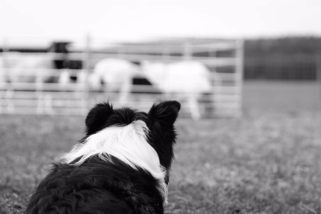 489928871_3536408046667193_3946772848500769258_n