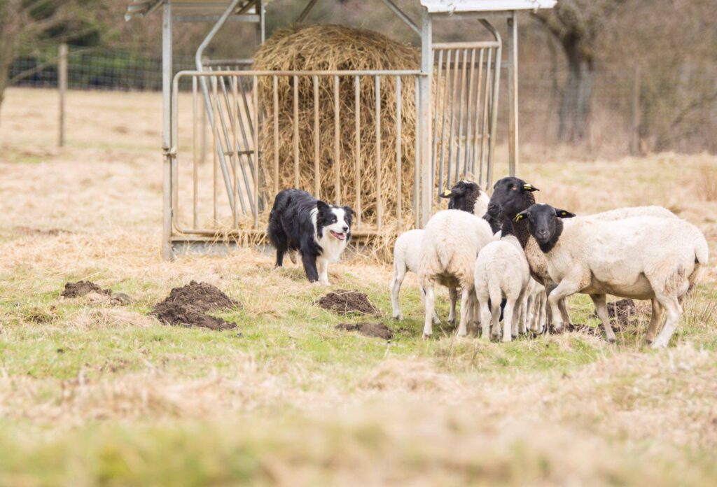 490066674_3536408163333848_6124443811610166674_n