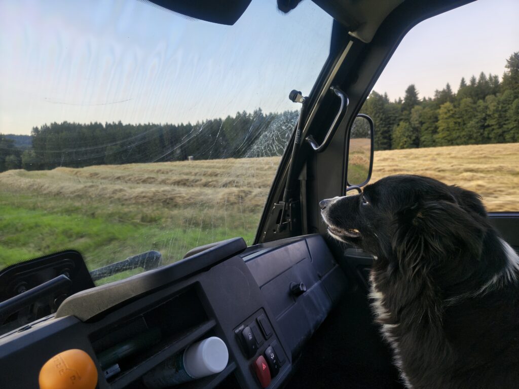 IMG_20250812_201439410_HDR