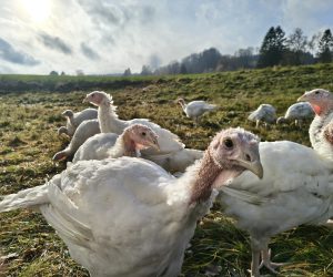 IMG_20251111_140257059_HDR